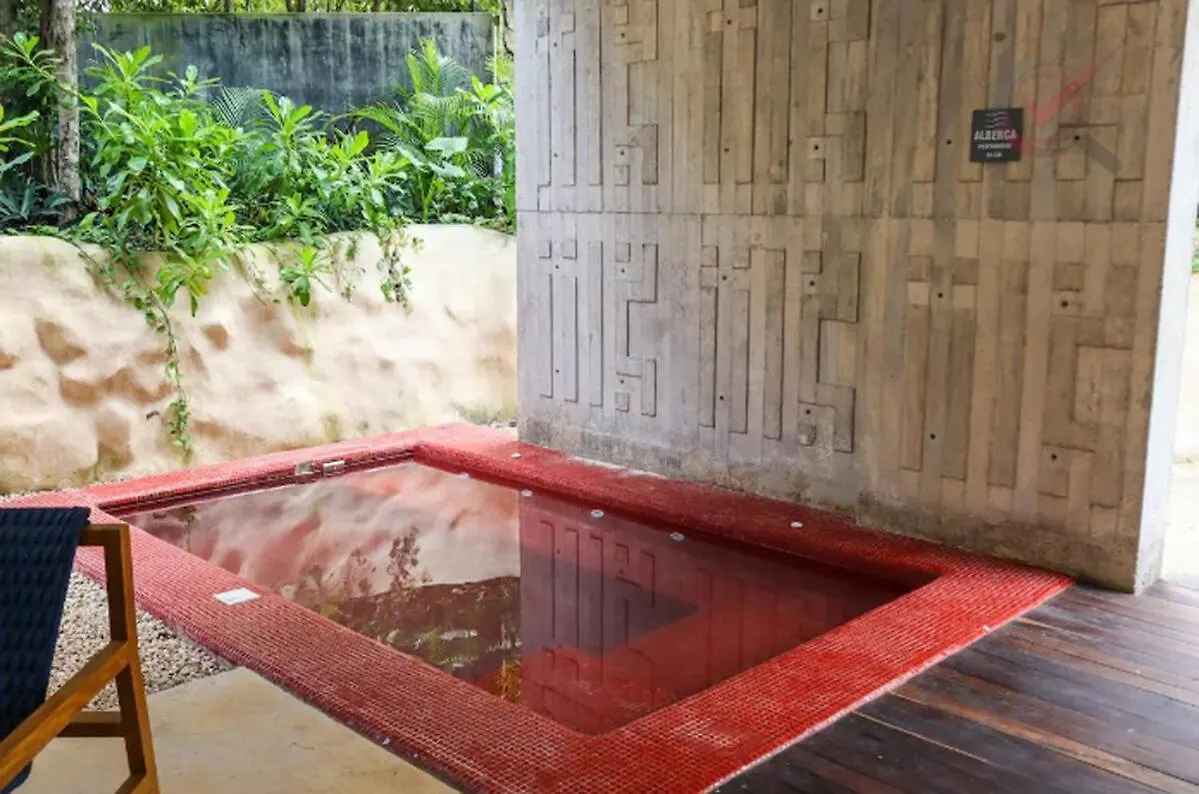 Διαμέρισμα Nueva Suite De Lujo Piscina Privada Τουλούμ Μεξικό