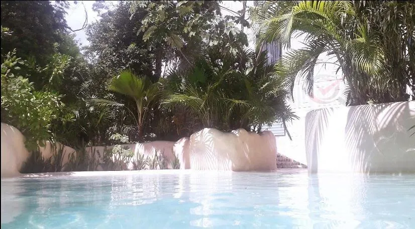 Nueva Suite De Lujo Piscina Privada 툴룸 멕시코