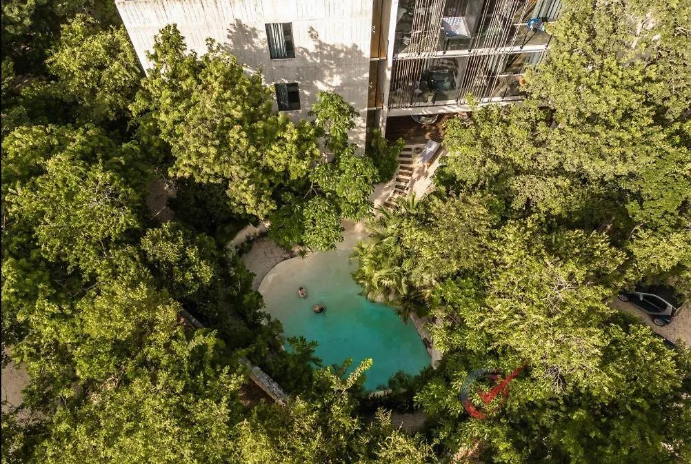 Nueva Suite De Lujo Piscina Privada 툴룸