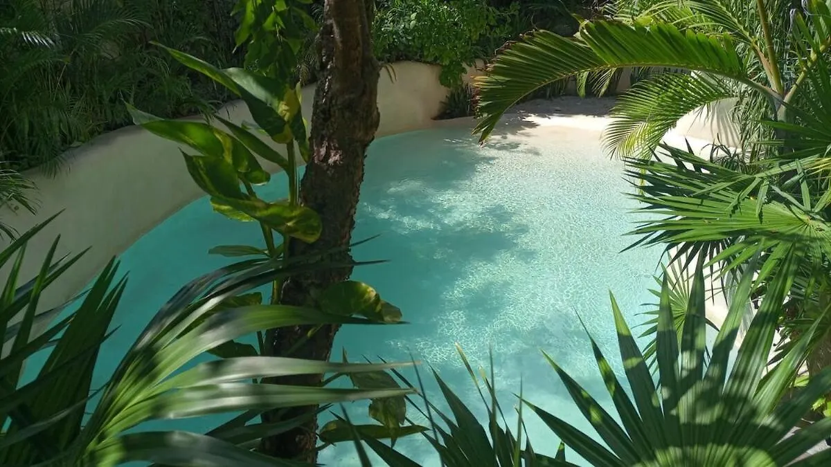 Appartement Nueva Suite De Lujo Piscina Privada Tulum Pueblo