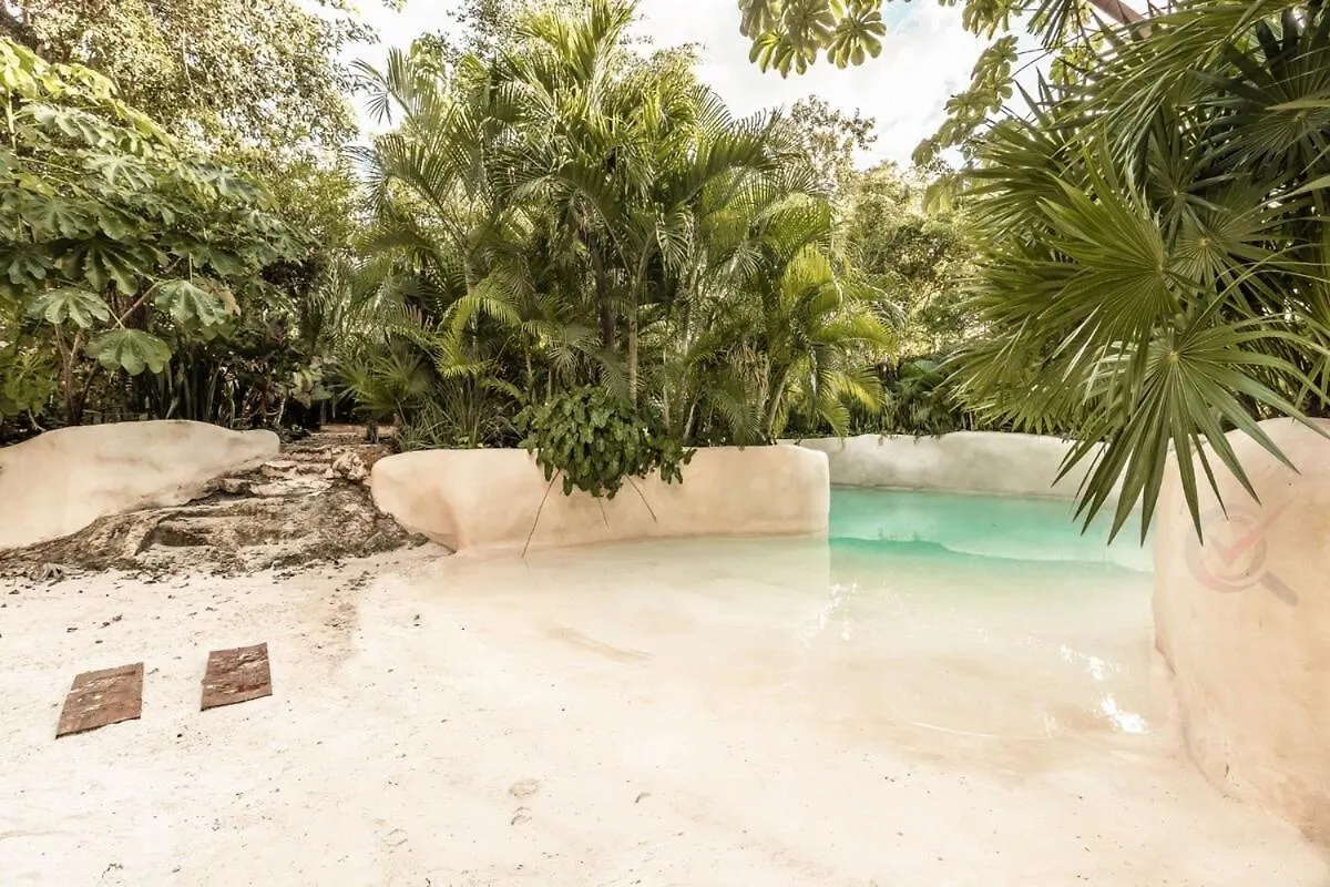 Appartement Nueva Suite De Lujo Piscina Privada Tulum Pueblo