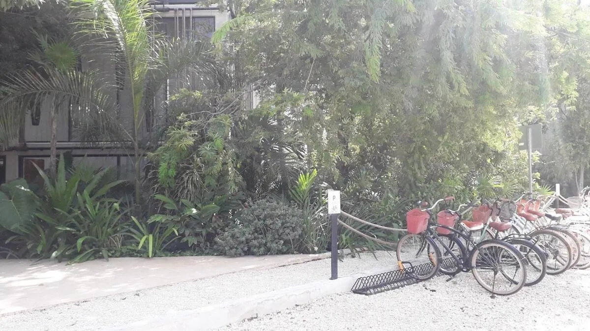 Appartement Nueva Suite De Lujo Piscina Privada Tulum Pueblo Mexico